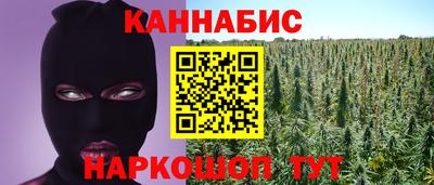 гидра Тверь